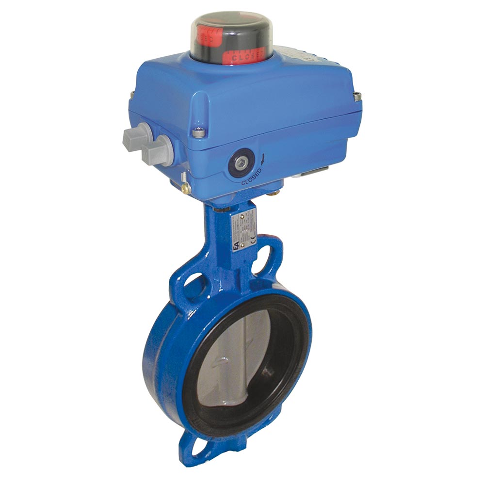 Absperrklappe-WA, DN50, mit Antrieb NE05 GG/Edelstahl/NBR, 24V DC, Laufzeit ca. 10sek. Absperrklappe-WA, DN50, mit Antrieb NE05 GG/Edelstahl/NBR, 24V DC, Laufzeit ca. 10sek.